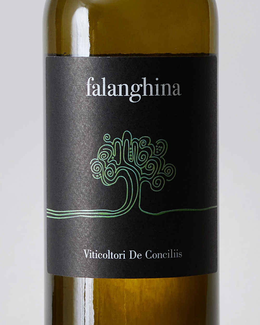 Falanghina Viticoltori De Conciliis label